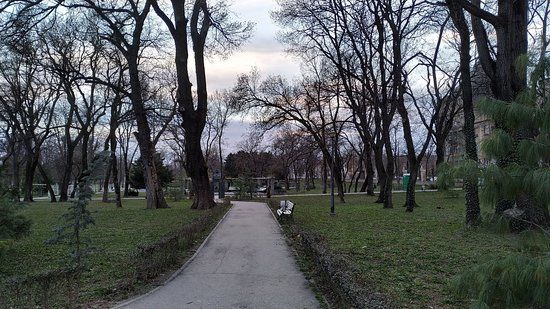 Piața Libertății